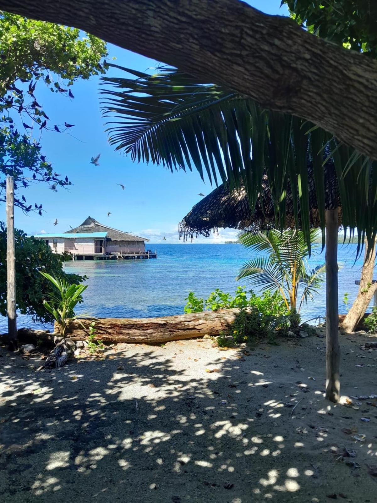 Imagination Island Eco Resort Gizo Bagian luar foto